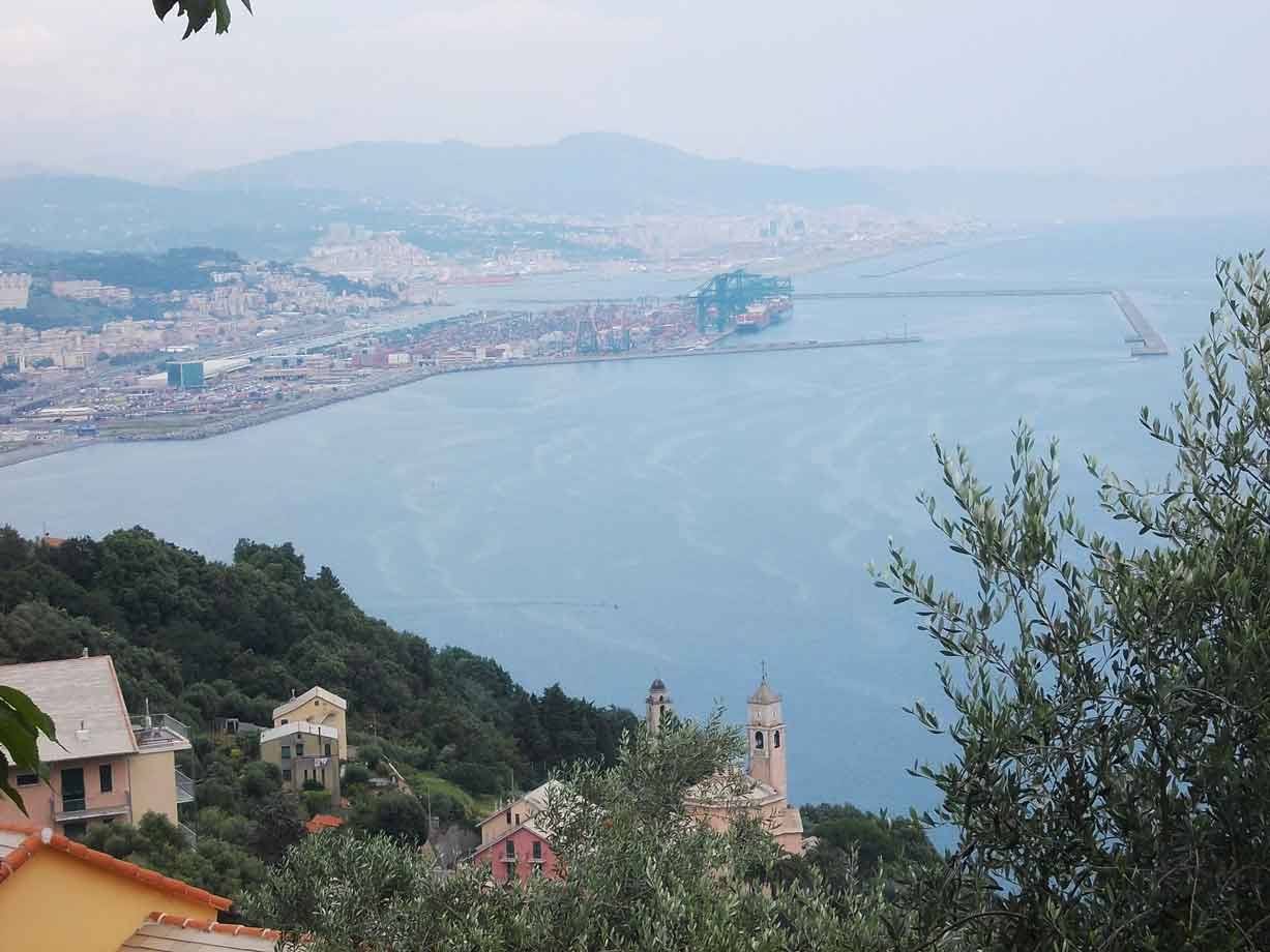 Il golfo di Genova col porto e i moli, visti da Sestri Ponente tra ulivi
