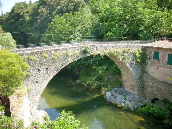 Old single-arch stone bridge over a green river, surrounded by trees