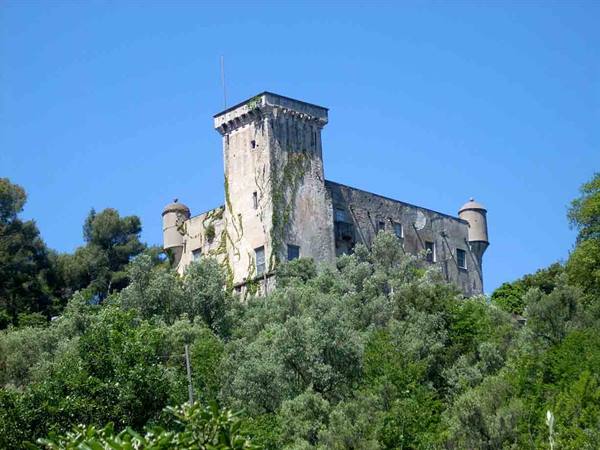 Ancient stone castle with ivy-covered tower rising above green trees