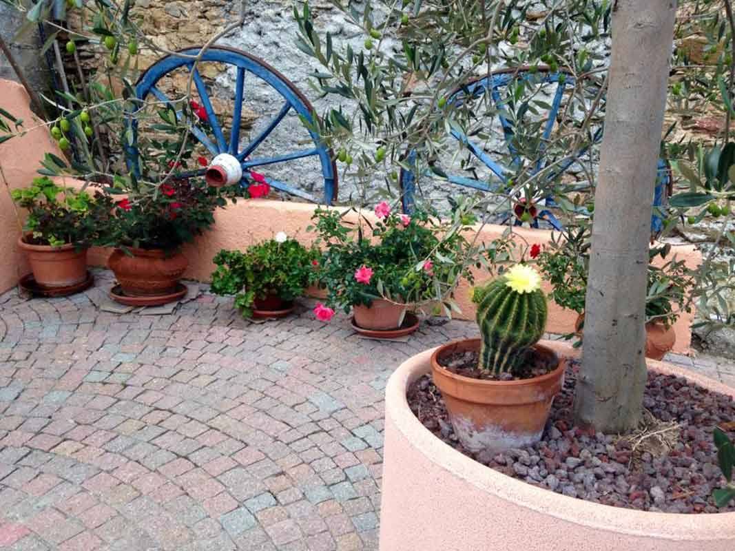 Vasi di terracotta con fiori e cactus accanto a ruote di legno blu decorate