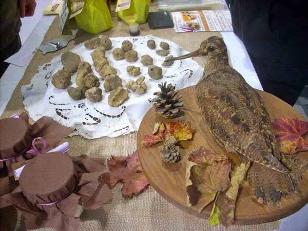 Truffles on lace doily with a stuffed woodcock, market table in linen