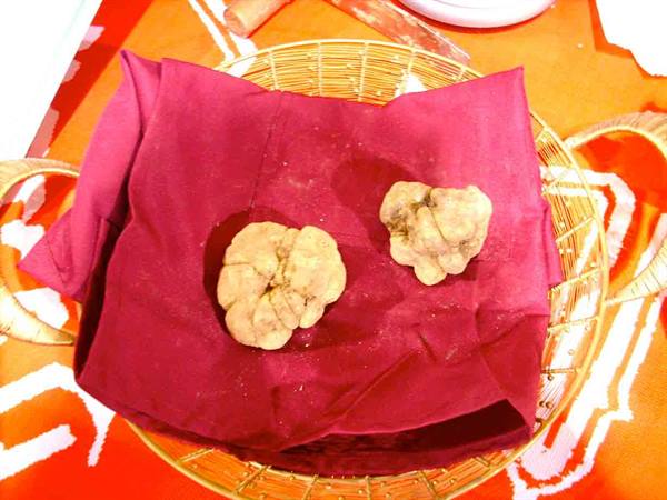 Two white truffles on a burgundy cloth in a golden basket
