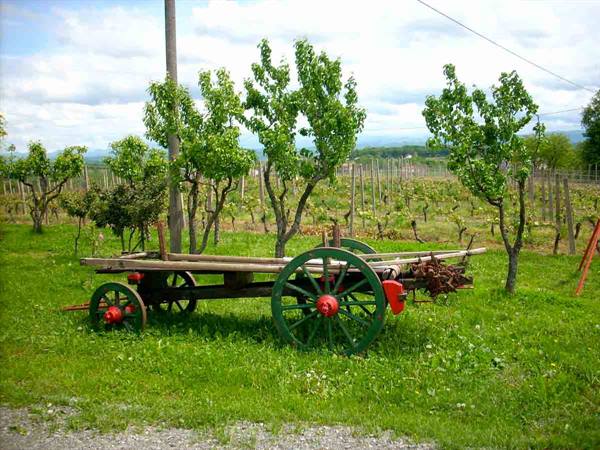 Tradition and nature