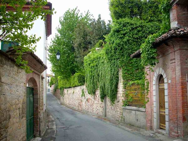 A road in Carpeneto