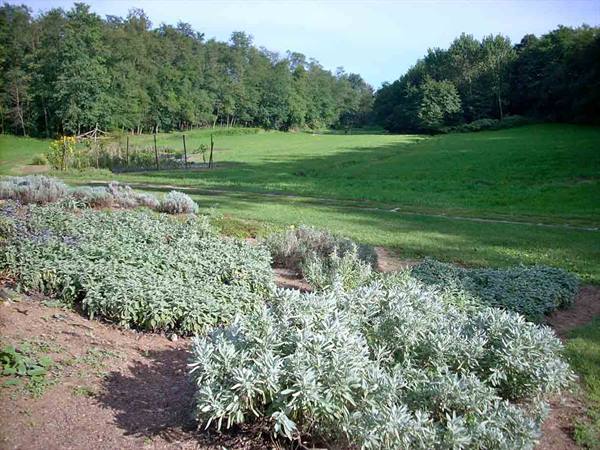 In the meadows of Cascina Molino Torrine
