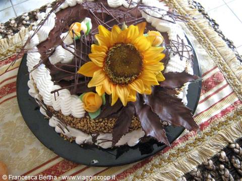 The fantastic cake