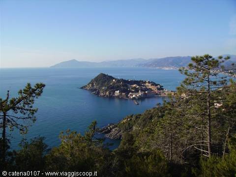 Sestri Levante: the promontory surrounded by blue sea among pine trees