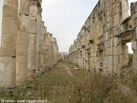 Apamea: The Colonnaded street