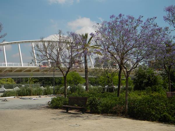 Parque Jardin del Turia