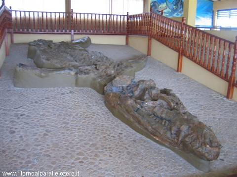 Petrified