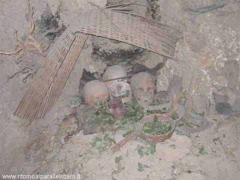 Inca skulls