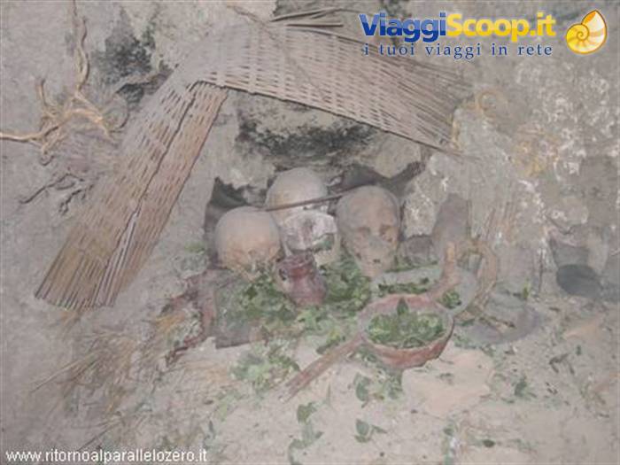 Inca skulls