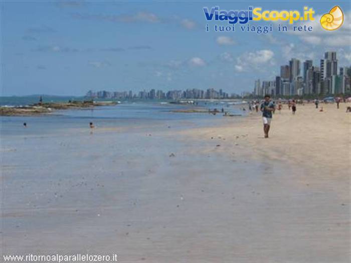 Shoreline