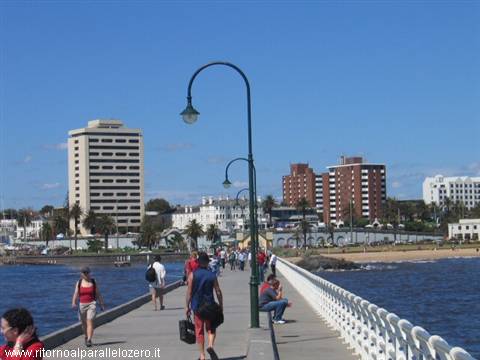 The long pier