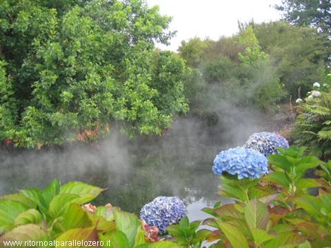 Steam in Rotorua
