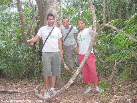 Tarzan among the lianas