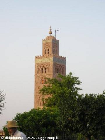 The pink stone minaret of the Koutoubia rises above Marrakech trees
