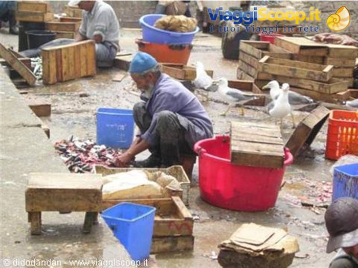 Fisherman crouching cleans the catch among wooden crates and seagulls
