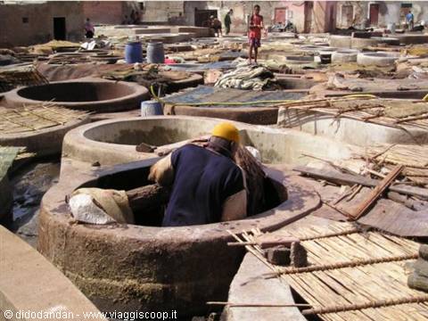 Worker tending stone tanning vats at the chouara tanneries, hides in daylight