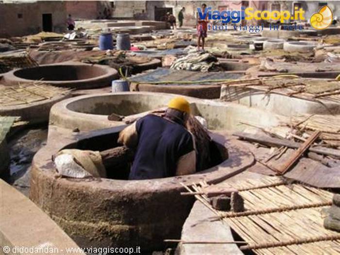 Tanner working inside stone vats at the Chouara tanneries in Fez