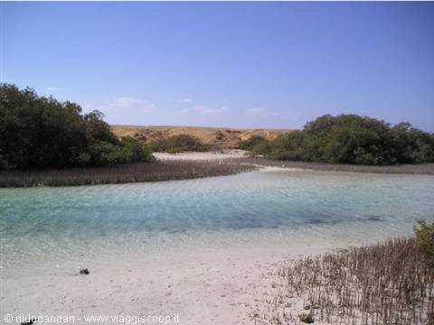 Turquoise channel winding between mangroves and white sand at Ras Mohammed