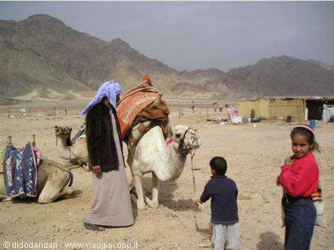 Man in blue turban pets a saddled camel as two children watch in the desert