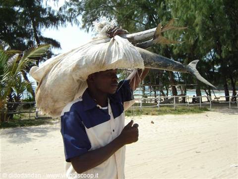 Man in blue and white shirt carrying a large fish on his head at the beach