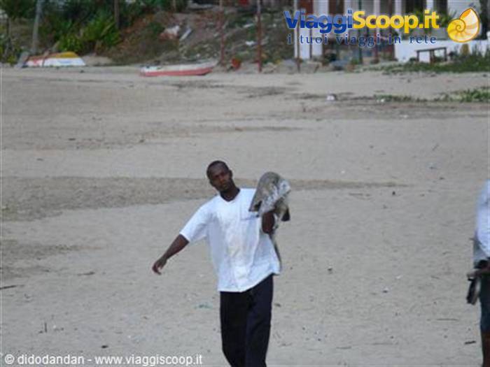 Man in white T-shirt walks on the beach carrying his catch