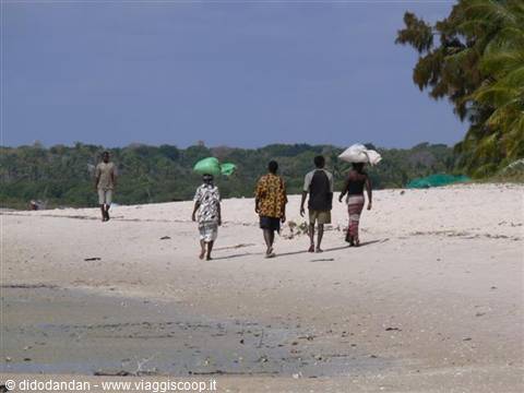 Five people walk on the sand carrying sacks and baskets on their heads