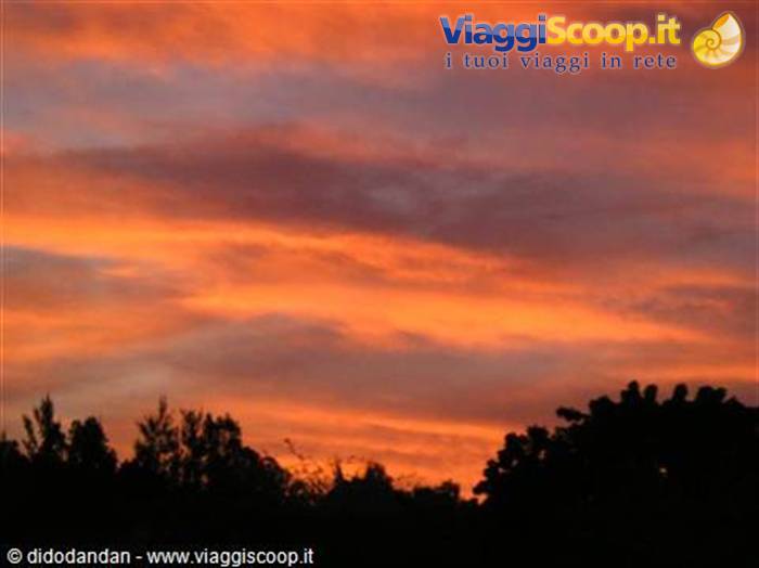 Orange and pink clouds across the sky, dark tree silhouettes below