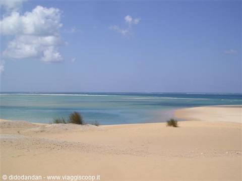 Pale sand dunes with grass tufts in front of a turquoise lagoon