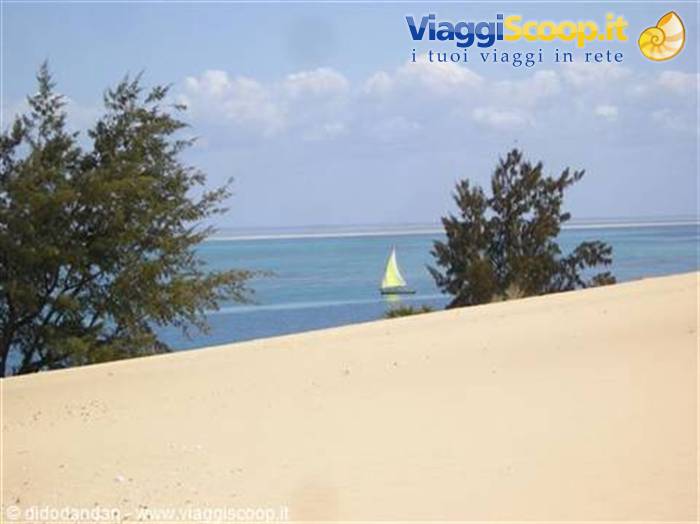 White sailboat on turquoise sea between trees and sandy dune