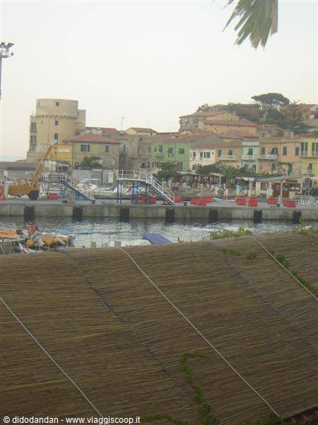 Woven reed canopy in front of the harbor with boats and colorful houses