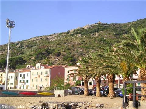 colorful houses below green hill, palm trees and boats on the beach