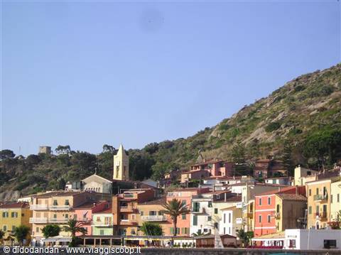 Colored houses along Giglio harbor with the church bell tower
