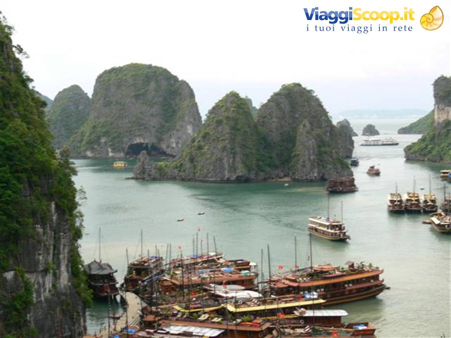 Wooden boats moored in Ha Long Bay among limestone cliffs covered with vegetation