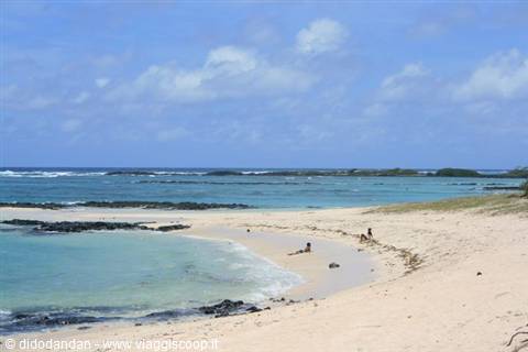 White sand beach with black rocks, people sunbathing by turquoise water
