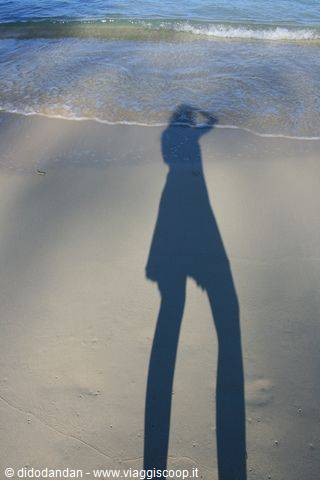 Photographer's shadow on wet beach sand as gentle waves recede
