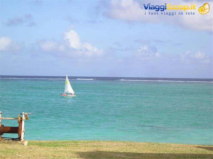 Sailboat on turquoise sea by the reef, grass in foreground