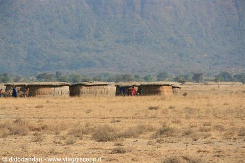 Maasai village with mud and thatch huts in dry savannah