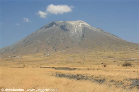 Ol Doinyo Lengai volcano rising over golden dry savannah grassland