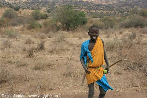Maasai boy in yellow and blue cloth holding sticks among dry bushes