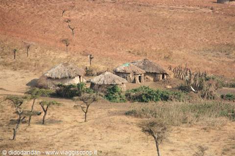 Thatched-roof huts village on dry savanna with scattered acacia trees