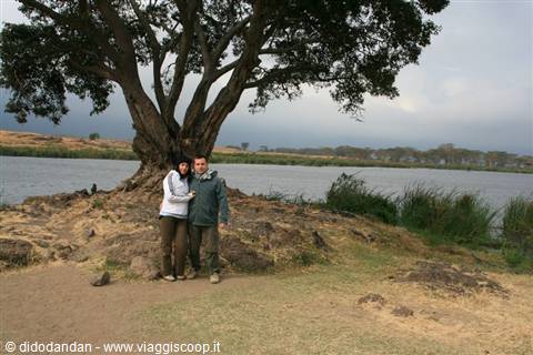 couple hugging under a large tree on a lakeshore
