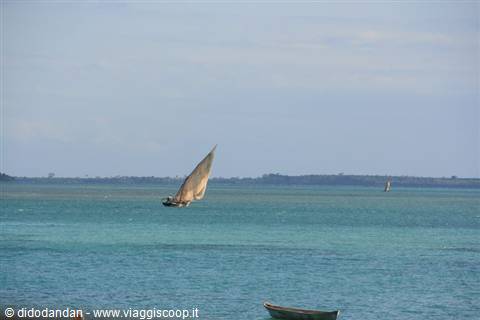 Sail-powered dhow glides across turquoise sea, small boat in foreground