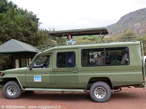 Woman looks out from the open roof of a green safari jeep on a dirt road