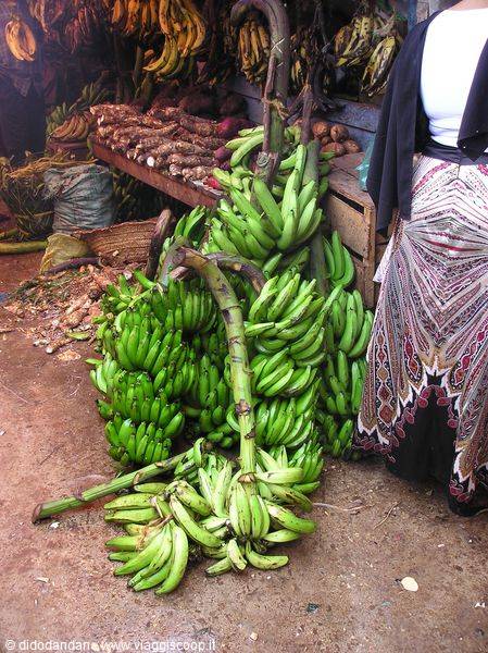 Green banana bunches stacked at a market stall beside a vendor