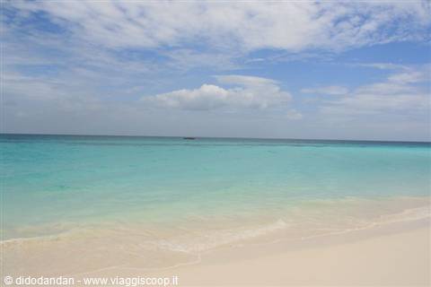 White sand beach with turquoise sea and gentle waves