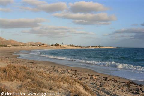 Waves on a sandy beach with seaweed and shells, houses in the background