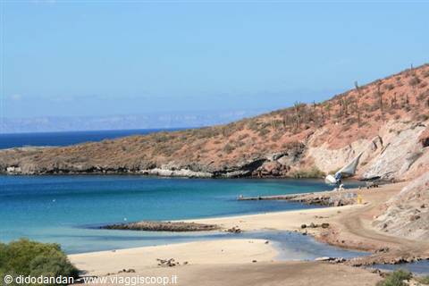 White sand cove with turquoise water between arid cliffs, Cabo Pulmo